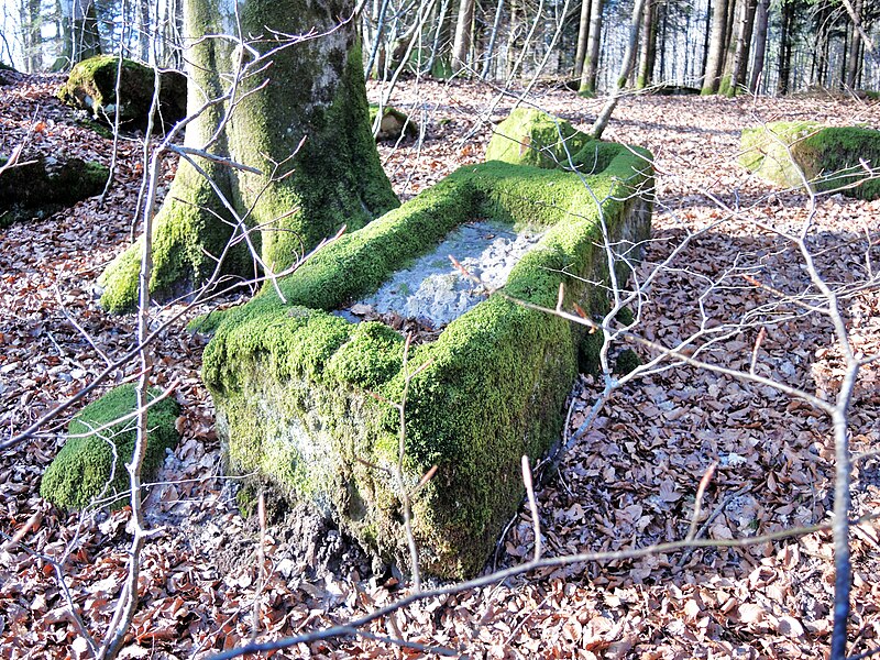 Fichier:Château des fées. Ebauche d'un abreuvoir. (1). 2016-03-21.JPG