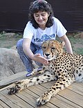 Миниатюра для Файл:Cheetah-M.jpg