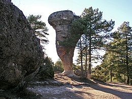 Obrázek v Infoboxu.