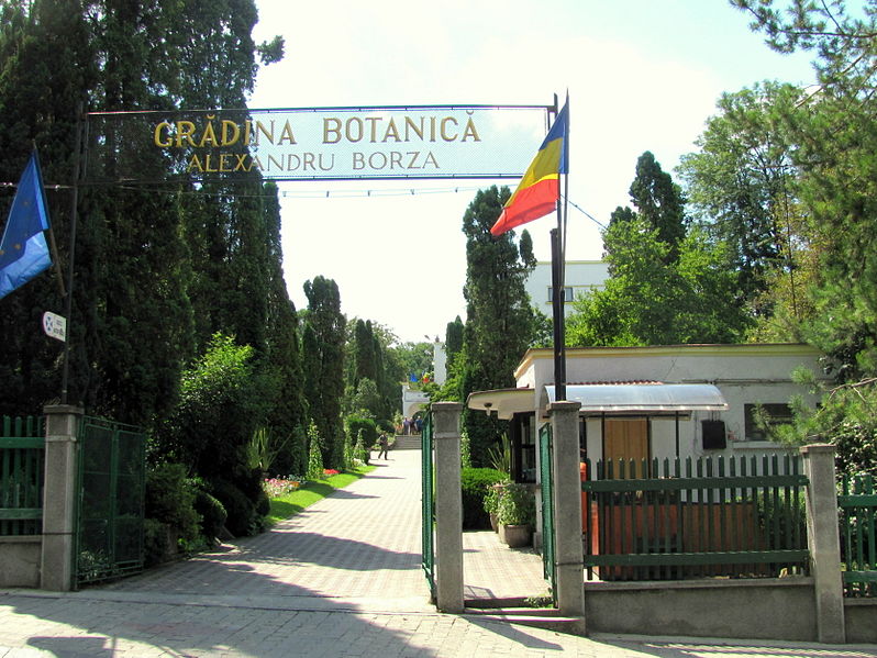 File:Cluj-Napoca-Grădina Botanică-Alexandru Borza-IMG 1589.jpg