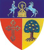 Coat of arms of Vâlcea