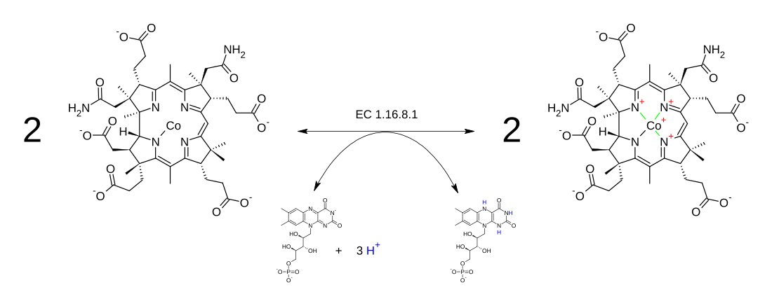 Cob(II)yrinic acid a,c-diamide reductase