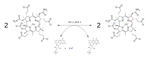Cob (II) yrinsäure a, c-Diamidreduktase.svg