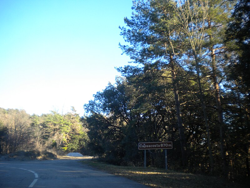 File:Coll de Capsacosta.JPG