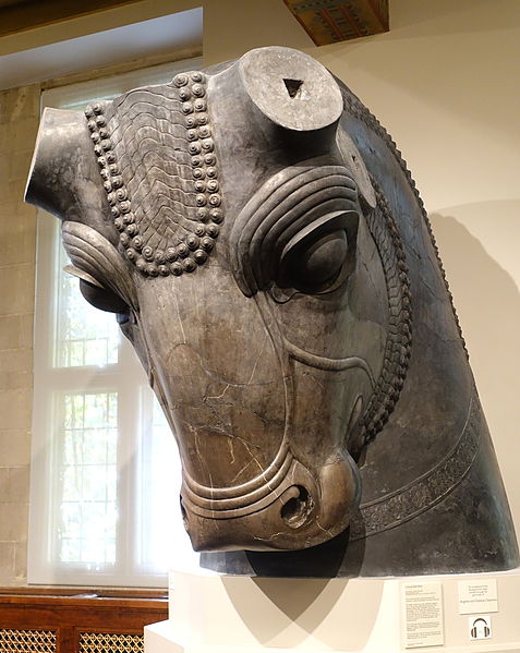 File:Colossal Bull Head, Iran, Persepolis, Hundred-Column Hall, Achaemenid Period, reigns of Xerxes and Artaxerxes I, 486-425 BC, restored limestone - Oriental Institute Museum, University of Chicago - DSC07935.JPG