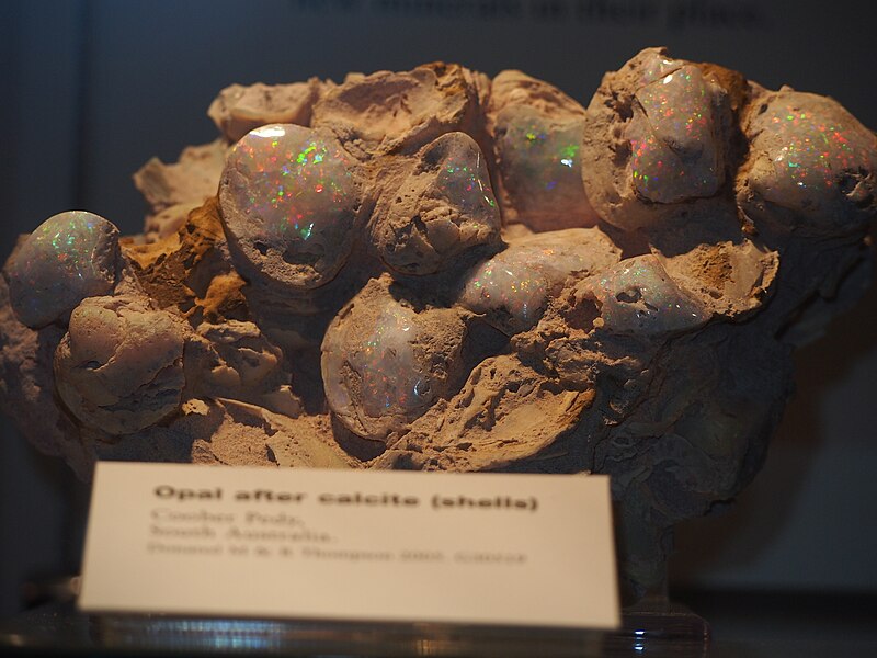 File:Coober Pedy opal at the SAM 1.JPG