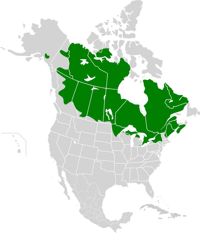 Área de distribución de C. clupeaformis