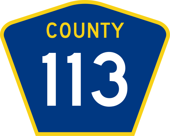 File:County 113 (MN).svg