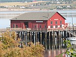 Coupeville grain wharf