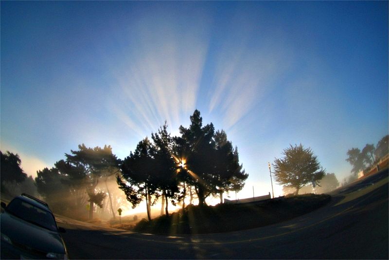 File:Crepuscal rays trees.jpg