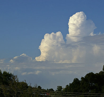 Облачная осадка. Cumulus congestus облака. Cumulus humilis облака. Кумулюс кумулонимбус. Кучево-дождевые облака вертикального развития.