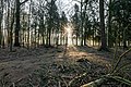 * Nomination Wildlife park in Dülmen, North Rhine-Westphalia, Germany --XRay 04:40, 14 March 2022 (UTC) * Promotion  Support Good quality -- Johann Jaritz 04:58, 14 March 2022 (UTC)