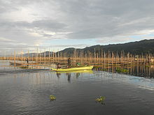 Fishing boats in Lake Limboto, Gorontalo. The fishing industry is one of the main source of income in the province Danau Limboto.JPG