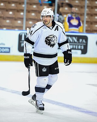 <span class="mw-page-title-main">David Van der Gulik</span> Canadian ice hockey player