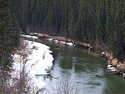 Dease River Moose 70mm.jpg