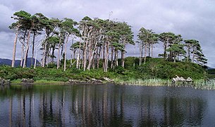 Lake Derryclare.