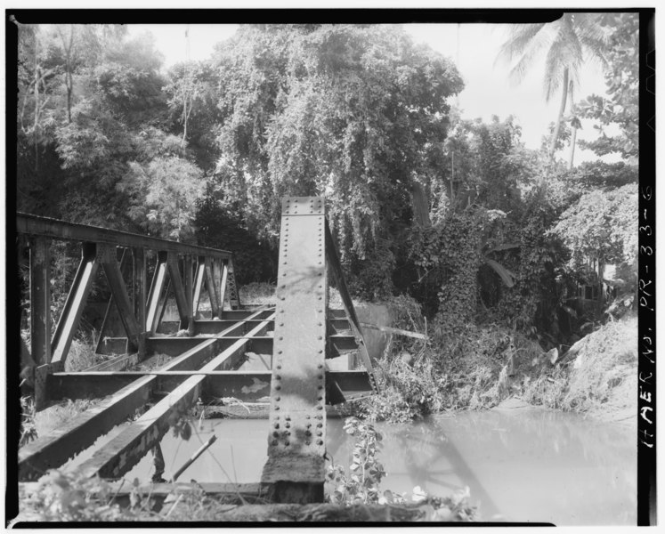 File:Detail- external triangular bracing - Batey Columbia Railroad Bridge, Spanning Maunabo River, Maunabo, Maunabo Municipio, PR HAER PR,57-CALZ,1-6.tif