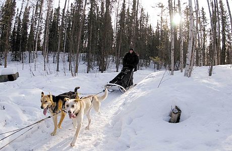 File:Dogsled.jpg