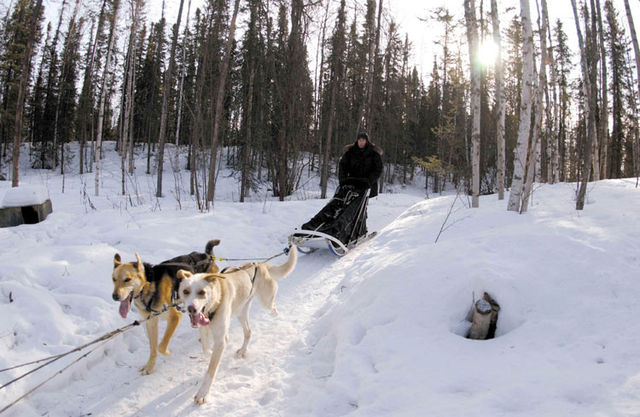 Sled and team in Houston, Alaska