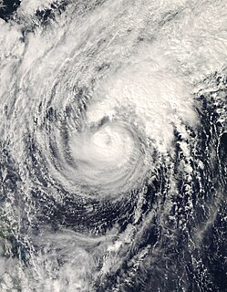 Typhoon Dolphin (2008) Pacific typhoon in 2008