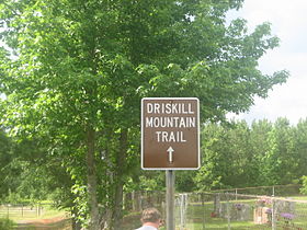 Trail to Mt. Driskill