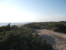 Dunes de Ugento.JPG