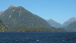 Doubtful Sound.jpg'deki Elizabeth Adası