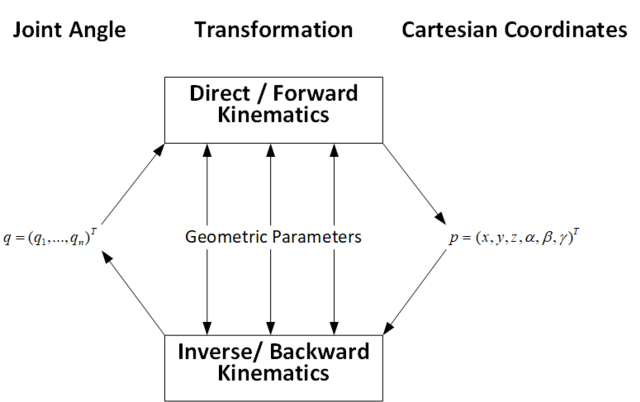 Animation vs. Math, Animator vs. Animation Wiki