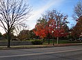 Fall Color V01 - panoramio.jpg