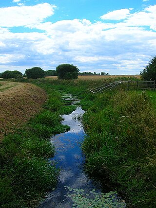 <span class="mw-page-title-main">Ferring Rife</span> Stream in West Sussex, England