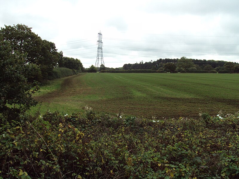 File:Field, Willaston 1.JPG