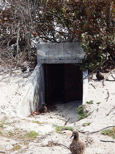 File:Figure 50- Underground Shelter (Property No. S956), Midway Atoll, Sand Island (April 15, 2015) (26071000176).jpg