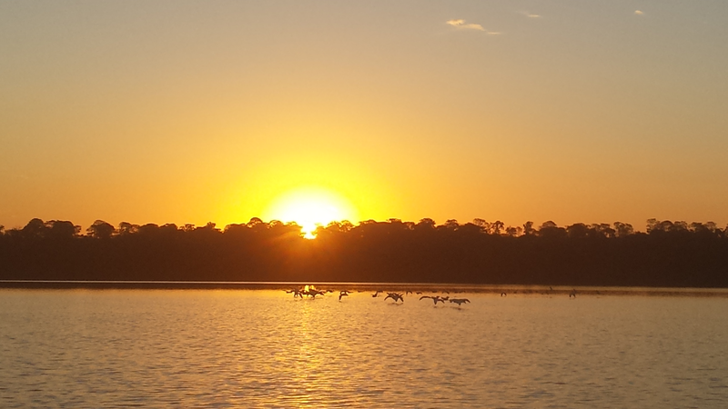 File:Final de tarde no paraíso!.png