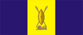 Bandera vers 1963-1993