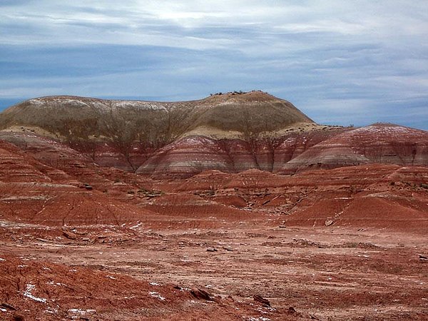 Allen Formation in Argentina.