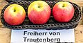 Freiherr von Trautenberg jm55172.jpg