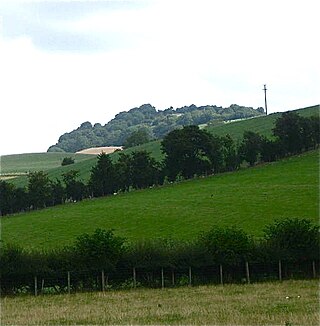 <span class="mw-page-title-main">Ffridd Faldwyn, Montgomery</span> Iron Age hill fort near Montgomery, Wales