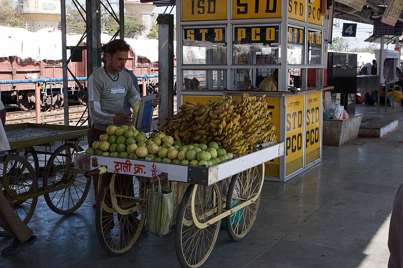 File:Fruit vendor - Bina Etawa Railway Station - India (4609968399).jpg