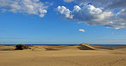 Миниатюра для Файл:GC Dunas de Maspalomas R04.jpg