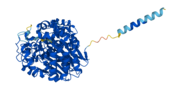 Thumbnail for Gamma-glutamyltransferase