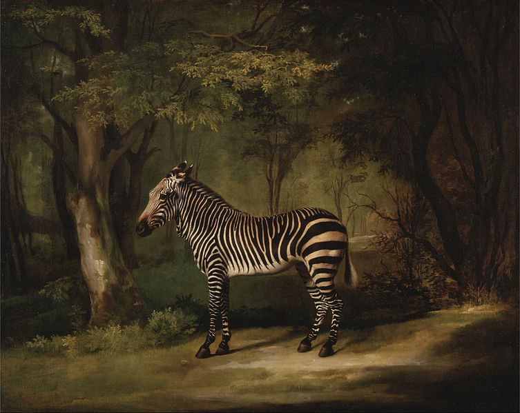 File:George Stubbs - Zebra - Google Art Project.jpg