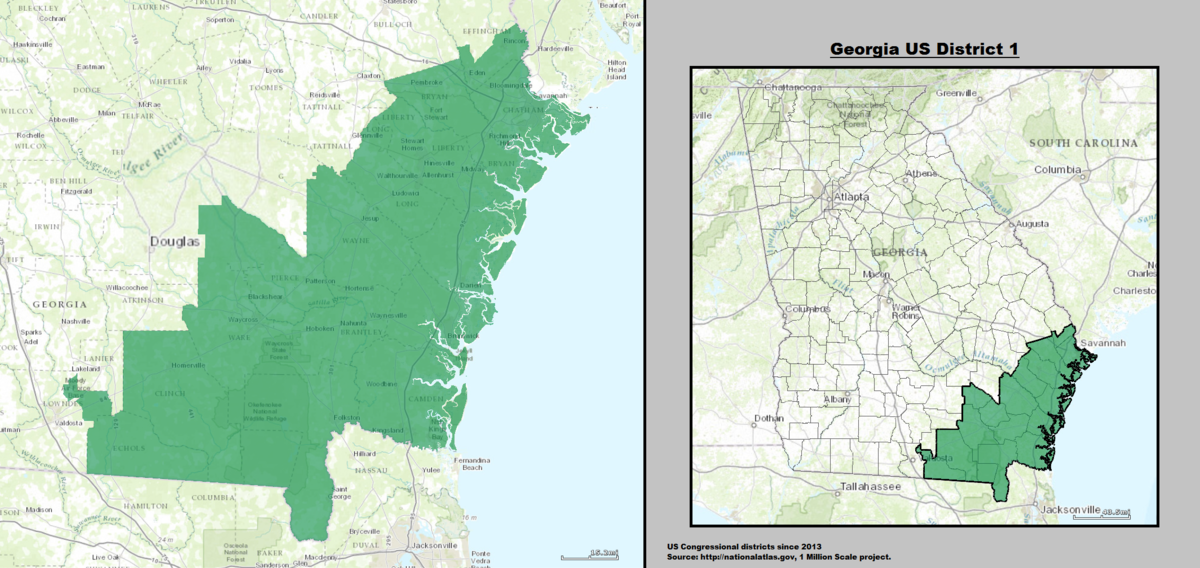 What are some of the duties of a Georgia congressman?