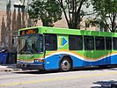 GoTriangle2120 100Short.jpg