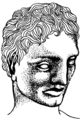 Grecian nose (PSF).png