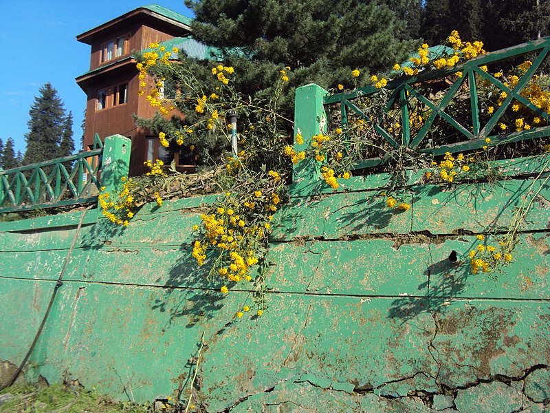 File:Gulmarg - Srinagar views 28.JPG