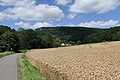 Pappmühle von Süden mit dem Hohenstein (Süntel)