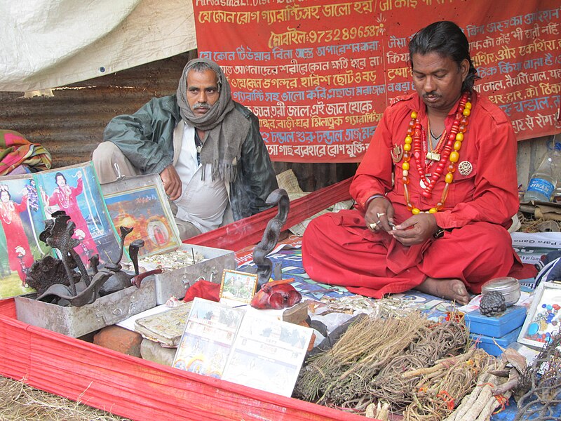 File:Hindu Folk Medicine Practitioners - Gangasagar Fair Transit Camp - Kolkata 2012-01-14 0566.JPG