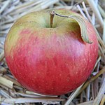 Maçã Honeycrisp