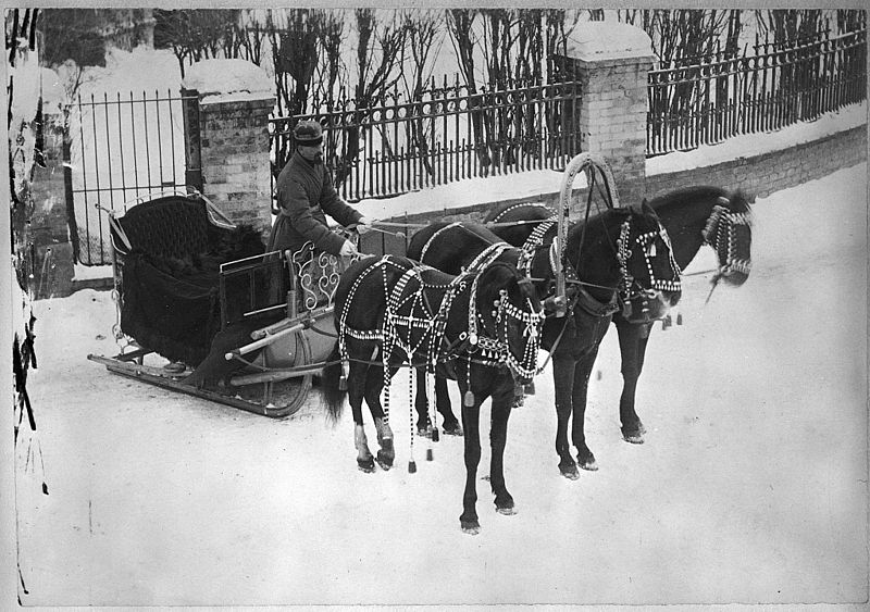 File:Horse drawn sledge, in Russia LCCN2001705701.jpg