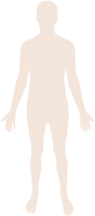 Download File Human Body Silhouette Svg Wikimedia Commons